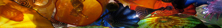brightly colored seashells